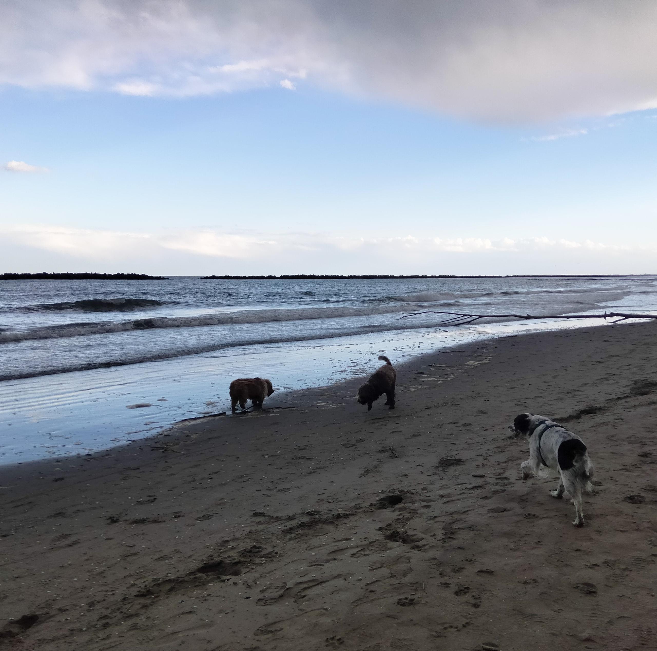 Lido delle Nazioni