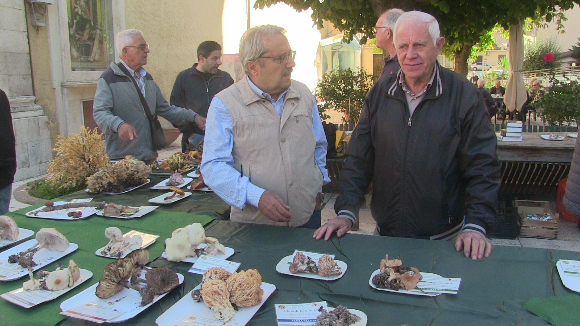 ACRI: FUNGHI IN PIAZZA ECCELLENTE RISULTATO