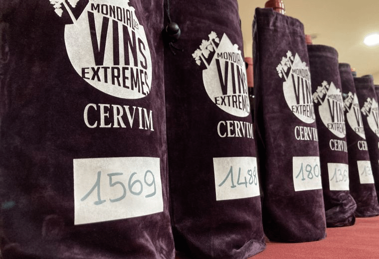 Wine, award, Aosta Valley, viticulture heroic, difficult conditions