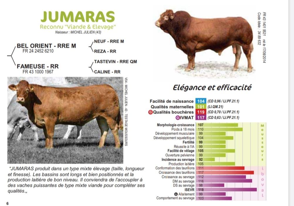 Jumaras - Matricola: FR4314015521 - Categoria LIMOUSINE