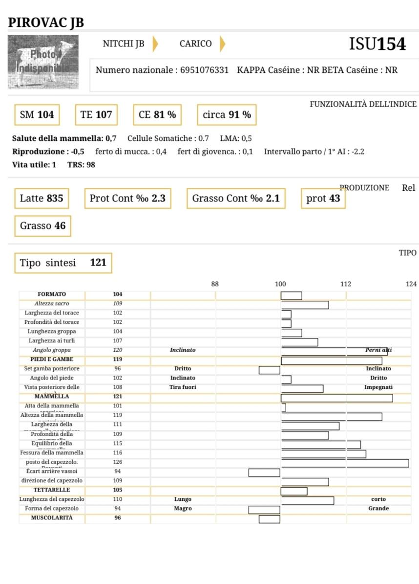 Pirovac JB - Matricola: FR 6951076331 - Categoria MONTBELIARDE