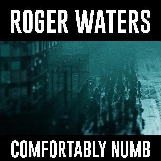 ROGER WATERS "COMFORTABLY NUMB 2022"