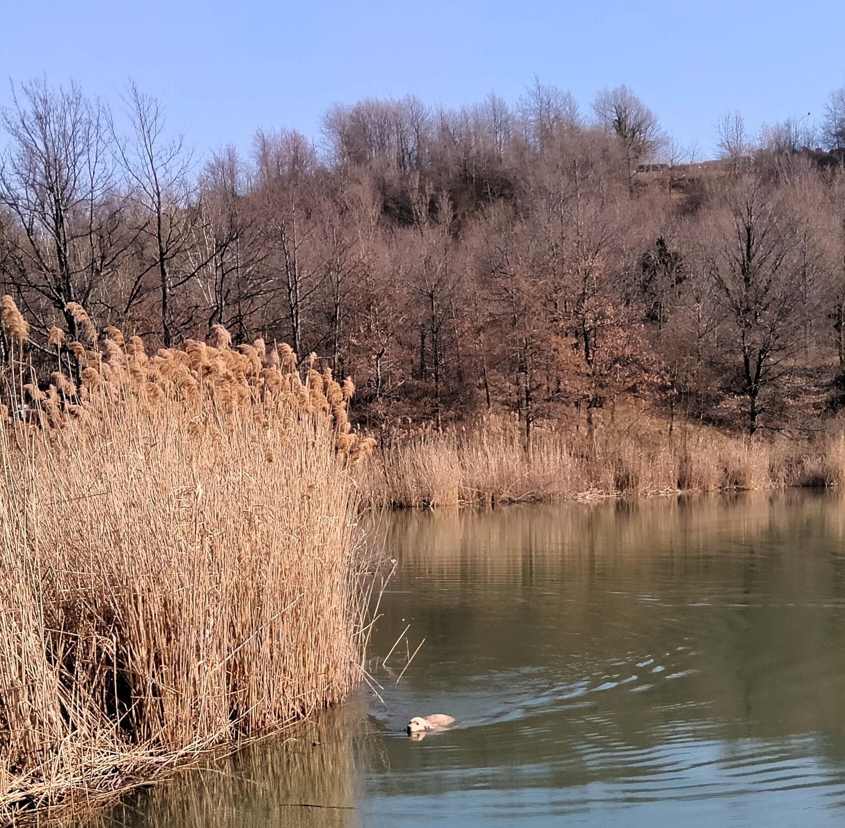 Lago di Castel dell'Alpi