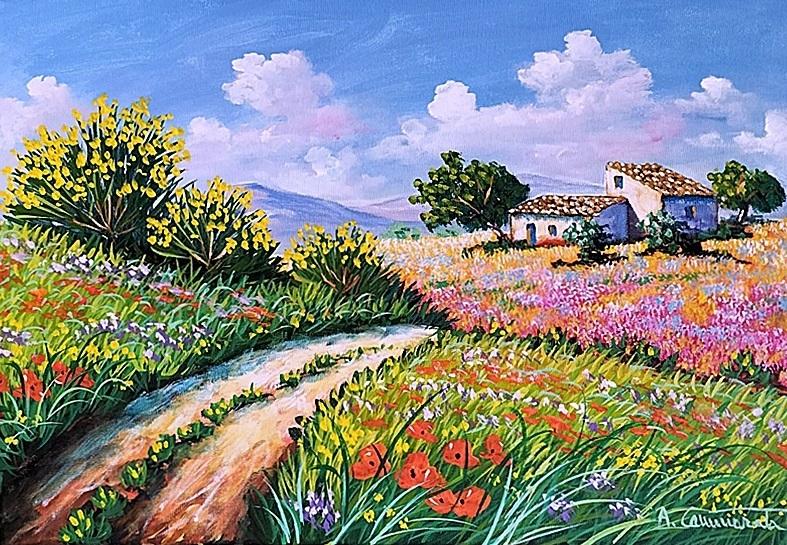 Ginestre in collina Olio su tela 35 x 50 cm