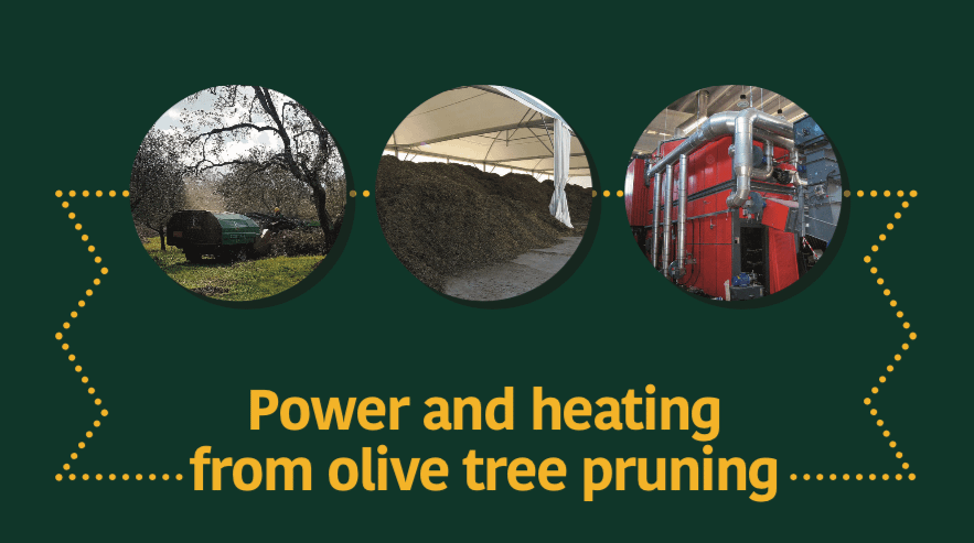 POWER AND HEATING FROM OLIVE TREE PRUNING