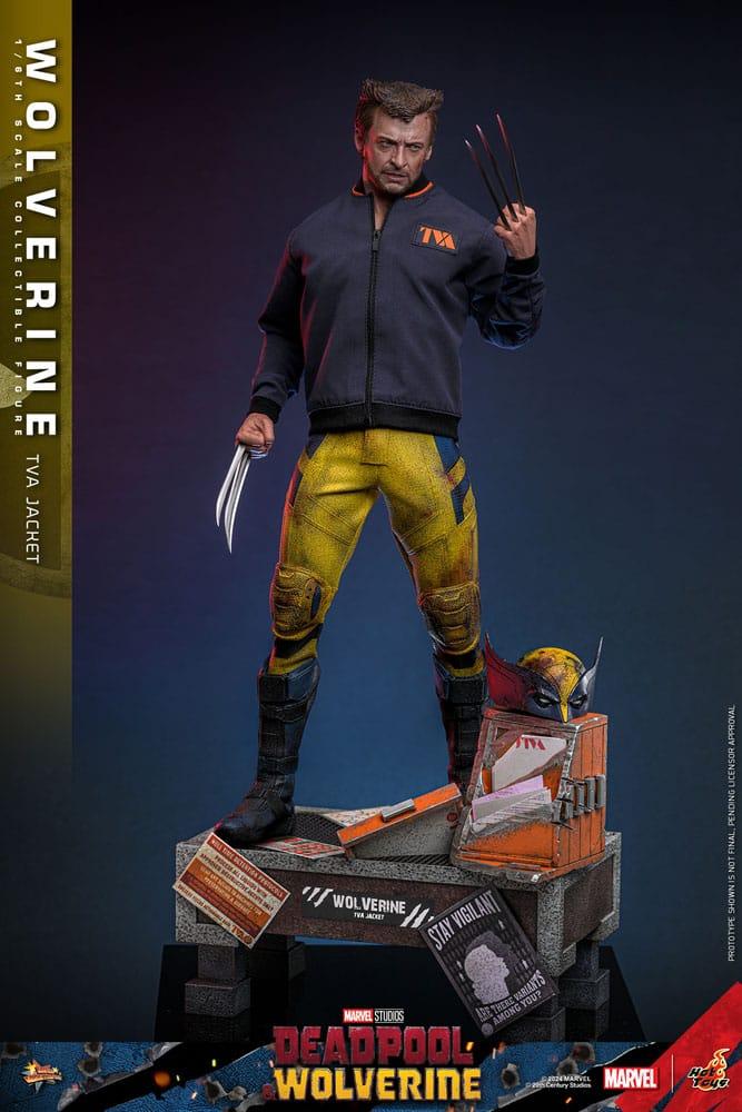 Hot Toys WOLVERINE Deadpool TVA JACKET VERSION 1/6 Action FIGURE Doll