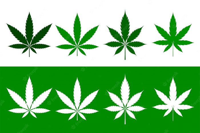 Non è vero che la legalizzazione fermerebbe il mercato nero della cannabis