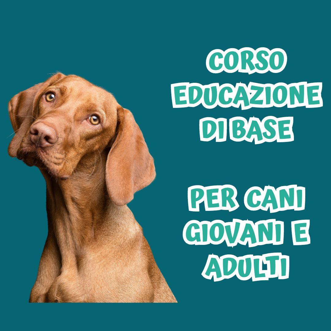 CORSO EDUCAZIONE DI BASE PER CANI GIOVANI O ADULTI