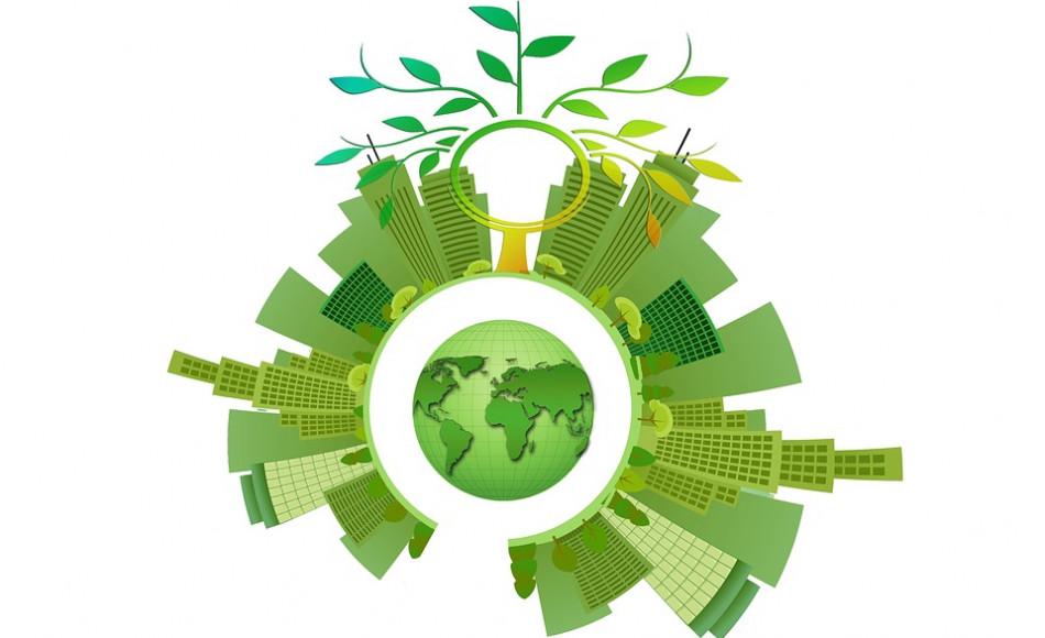 "Bando Transizione Ecologica": verso un mondo più green ed ecosostenibile