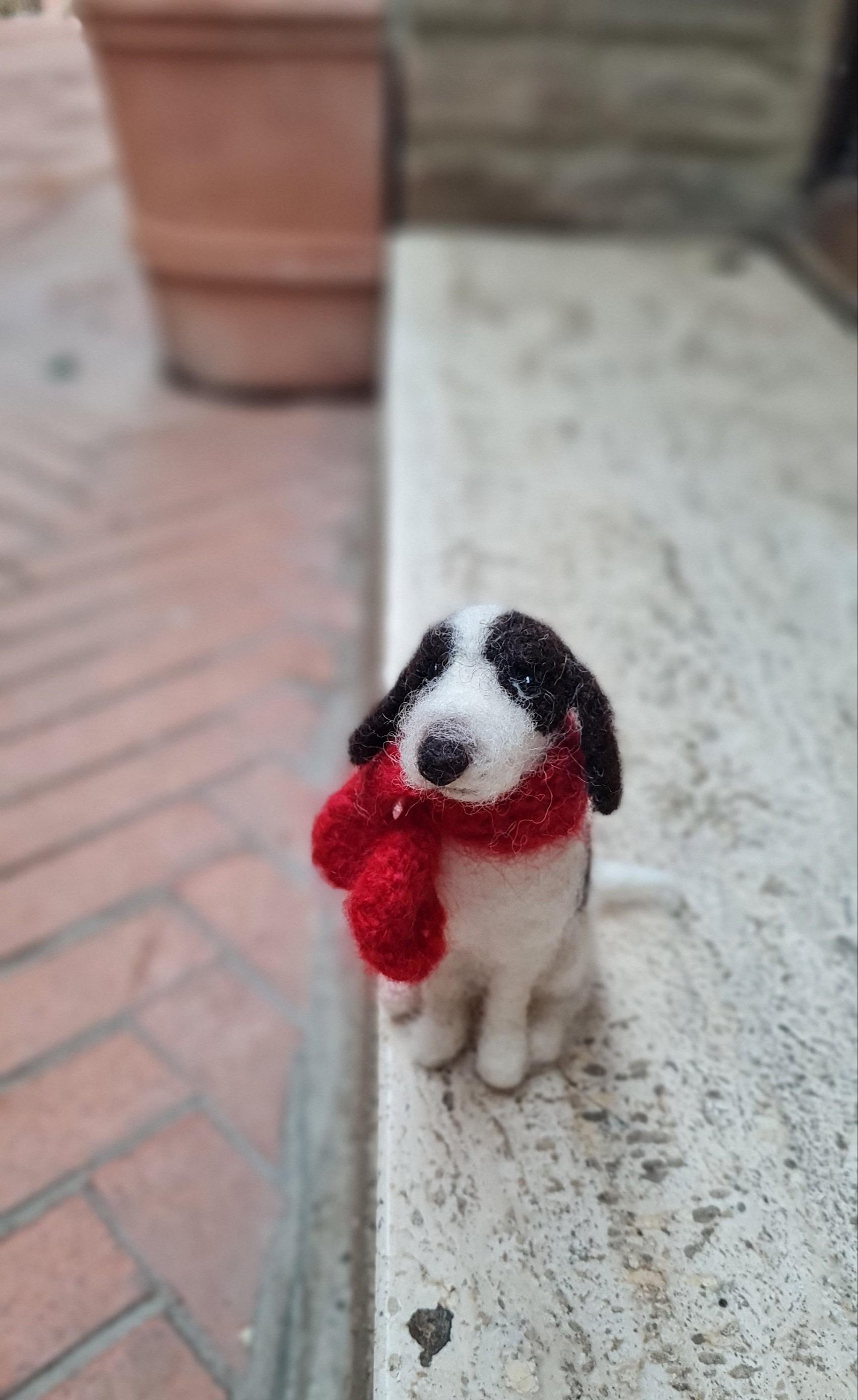 Cagnolino con sciarpa