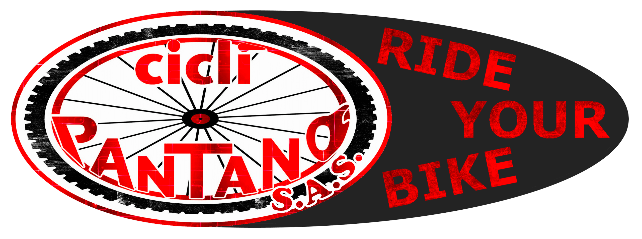 Cicli Pantano Sas