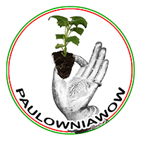 www.paulowniawow.it