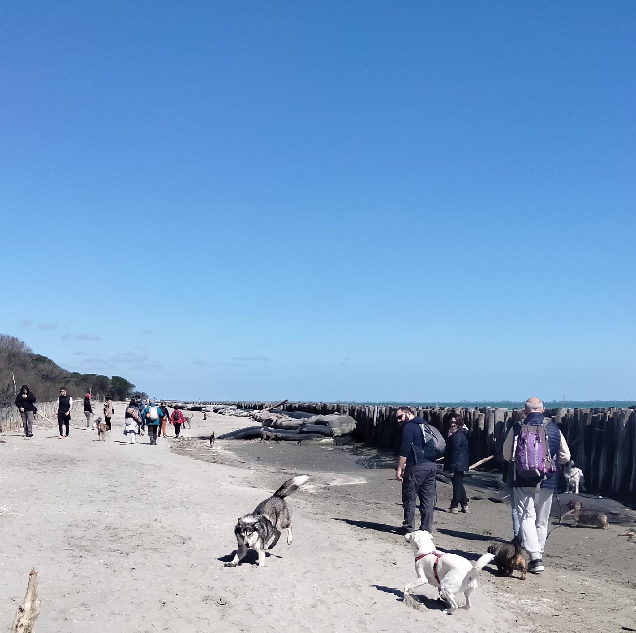 Lido delle Nazioni