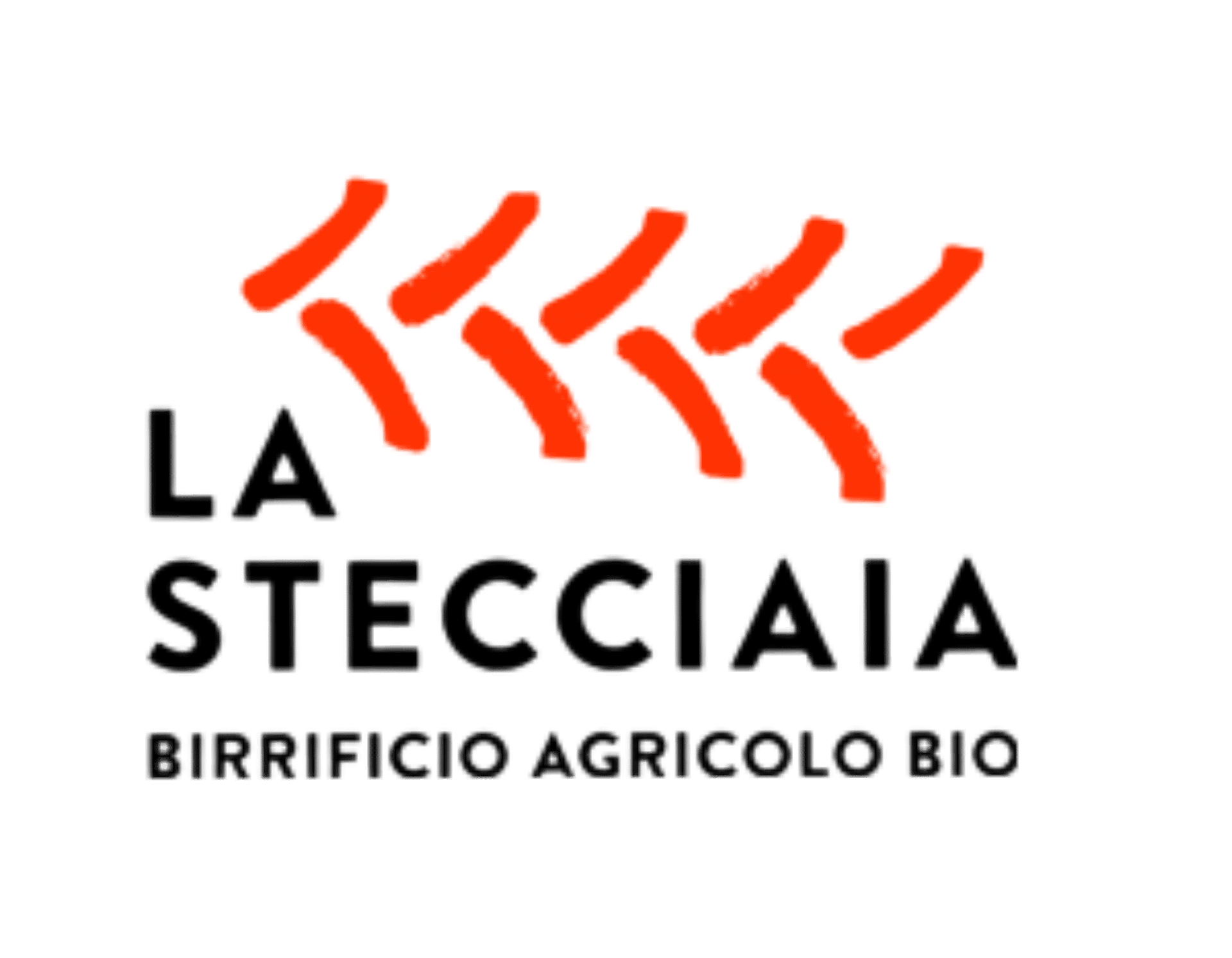 La Stecciaia Birrificio Agricolo Bio