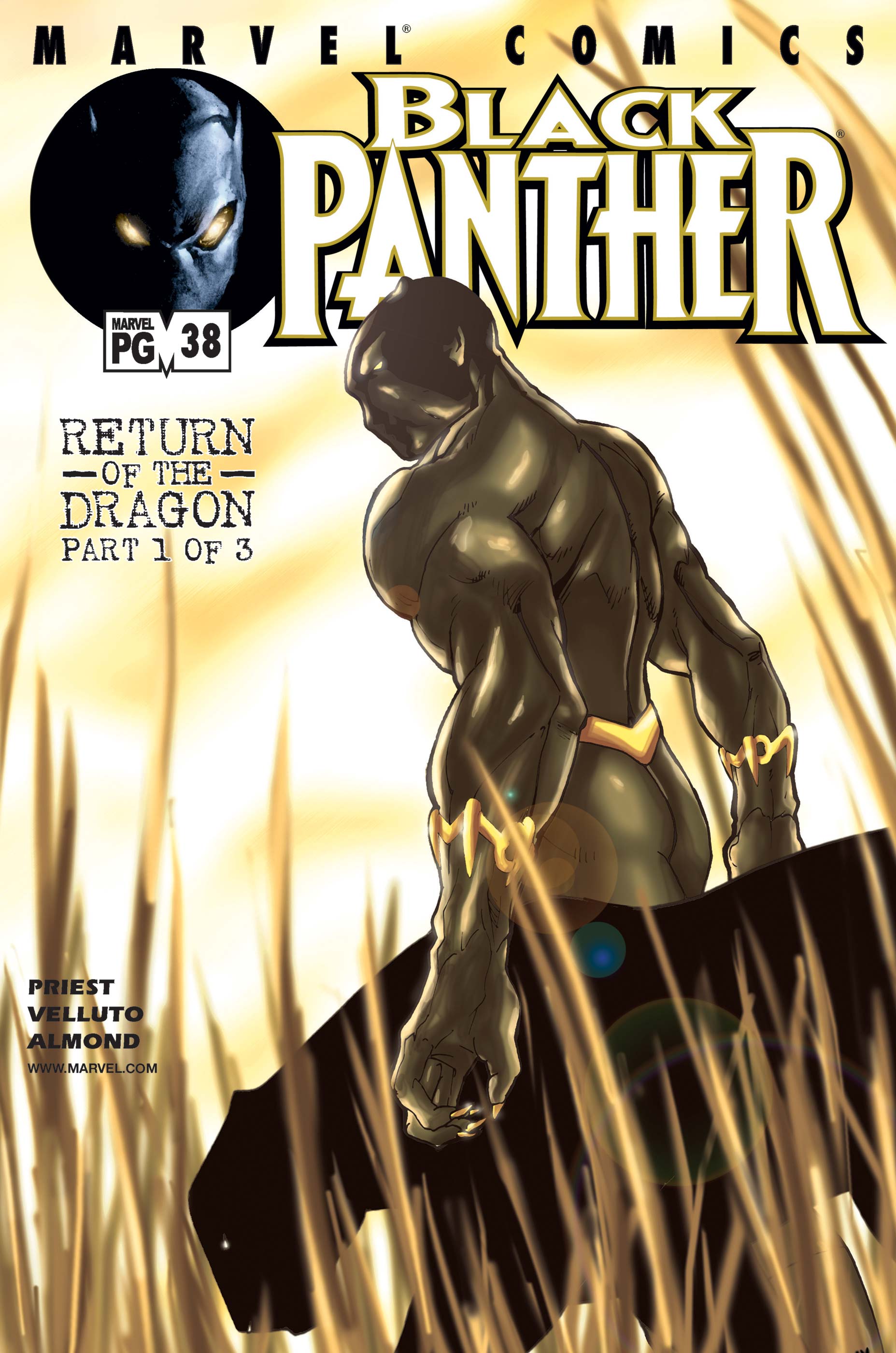 BLACK PANTHER #38#39#40 - MARVEL COMICS (2002)