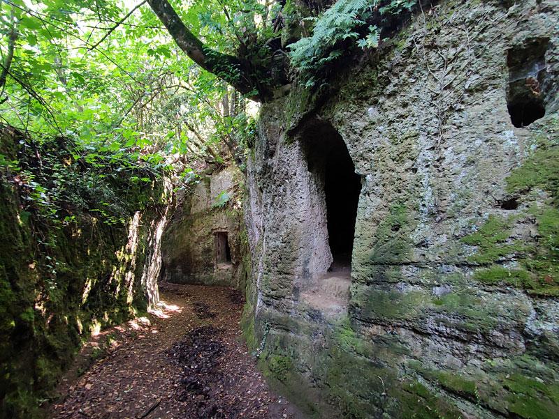 Trekking guidato a Corchiano