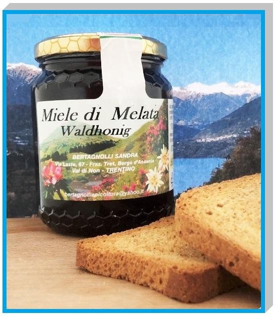 I SAPORI D'ITALIA....MIELE di MELATA 500 Gr e MULTIFLORA 500 Gr