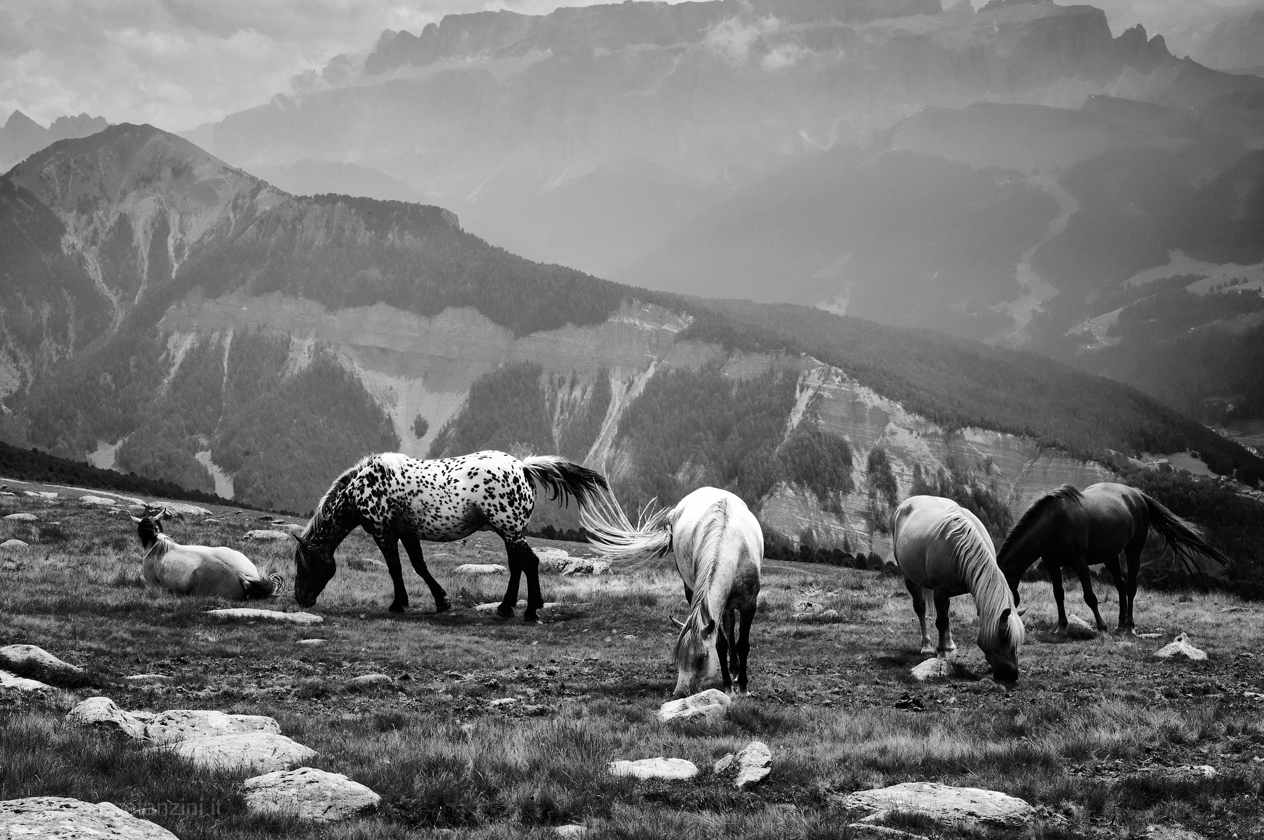 Dolomiti Parco Naturale Puez-Odle