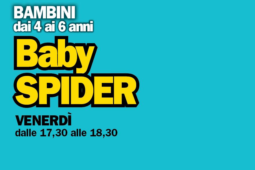 BABY SPIDER