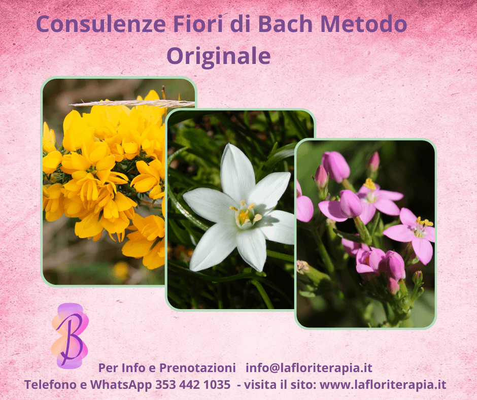 La consulenza Fiori di Bach: ritrovare l'equilibrio emozionale con il Metodo Originale