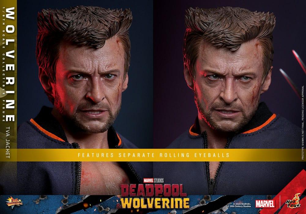 Hot Toys WOLVERINE Deadpool TVA JACKET VERSION 1/6 Action FIGURE Doll