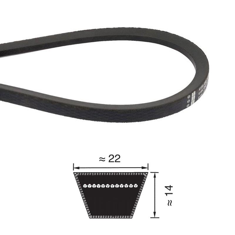 CINGHIA TRAPEZOIDALE SEZ. "C" (MM.22X14) C 204 - C 270 - PI BELT