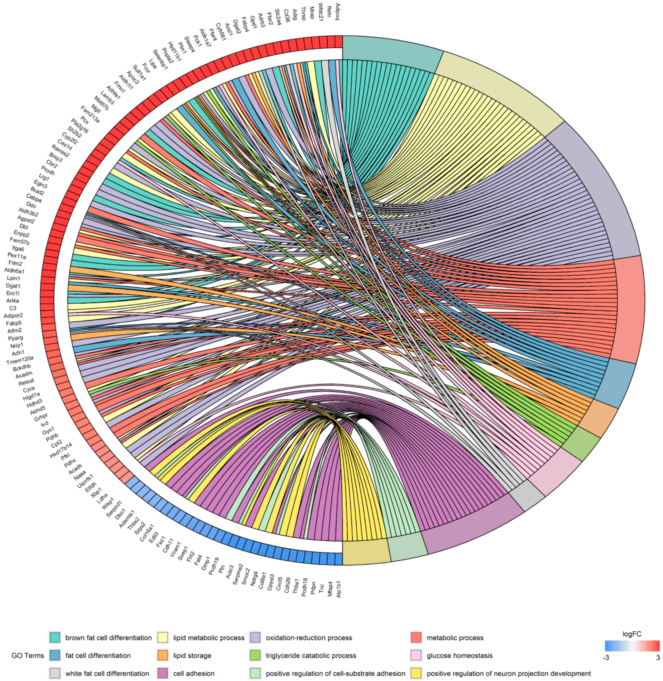 WFDC21 Gene