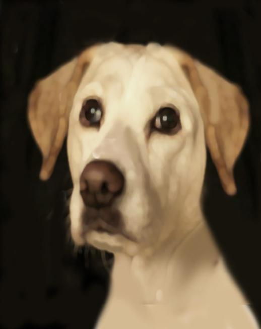 quadro con il ritratto del tuo cane,dipinto personalizzato del tuo cane,animale domestico,quadro cane,dipinto cane,quadro dipinto a mano su tela a olio del tuo cane,