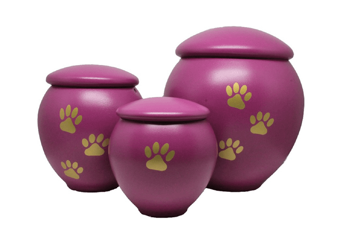 Urna Pet Purple