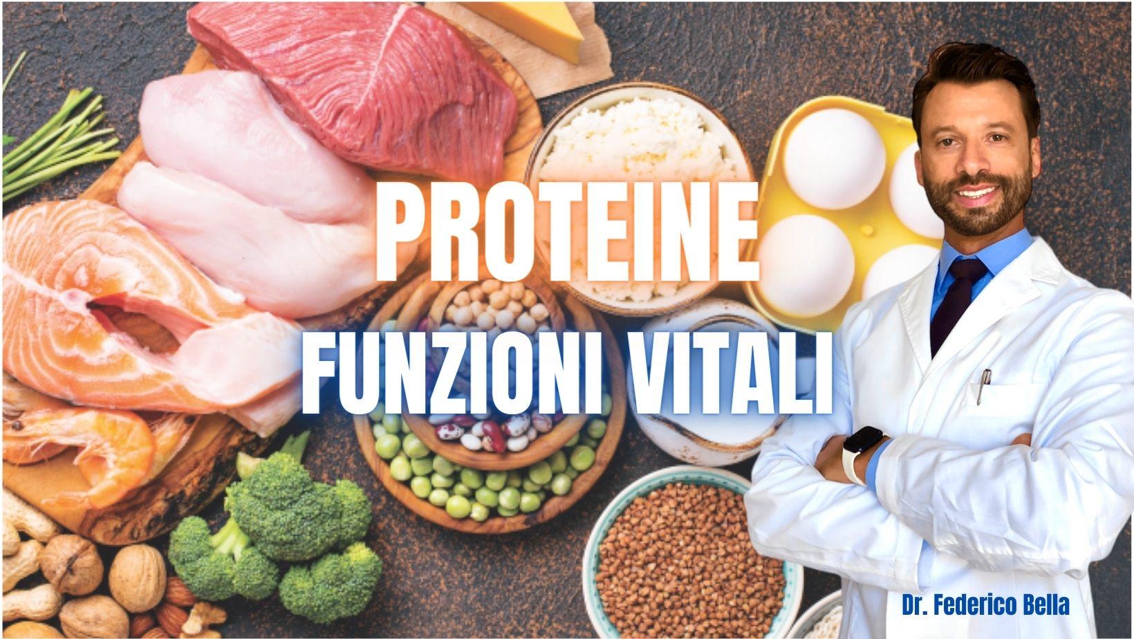 Le proteine: un pilastro fondamentale per la salute del nostro organismo