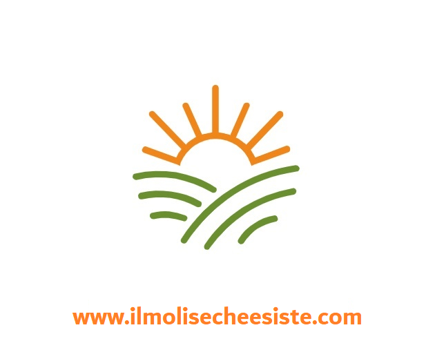 www.ilmolisecheesiste.com