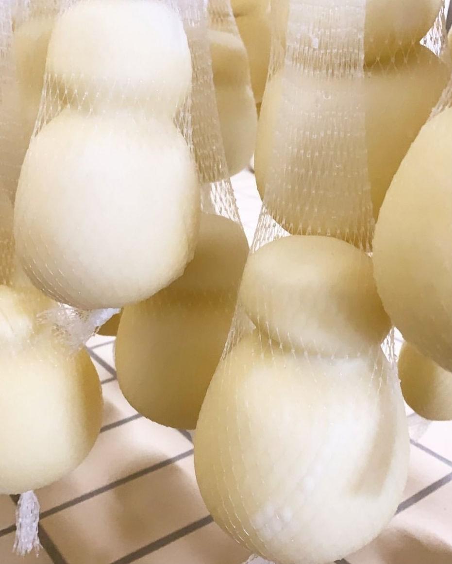 Scamorza di latte