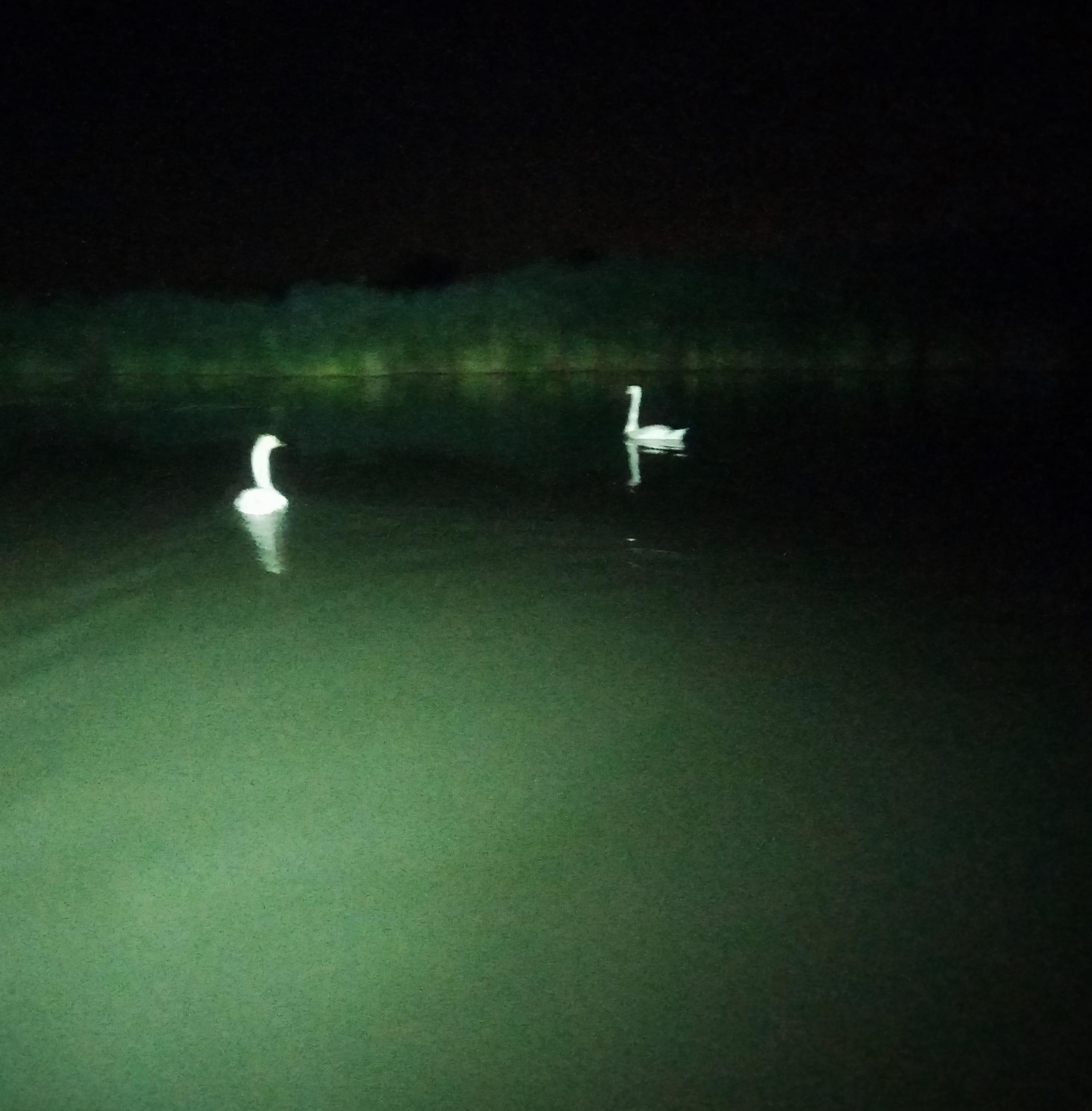 Parco Fluviale Fiume Mincio