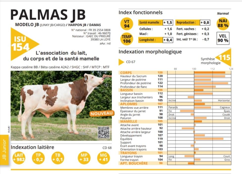 Palmas JB - Matricola: FR 3925540808 - Categoria MONTBELIARDE