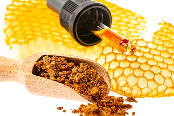 PROPOLIS