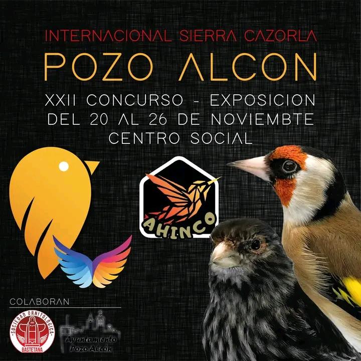 CONVOGLIAMENTO ESPOSIZIONE “POZO ALCON” – SPAGNA