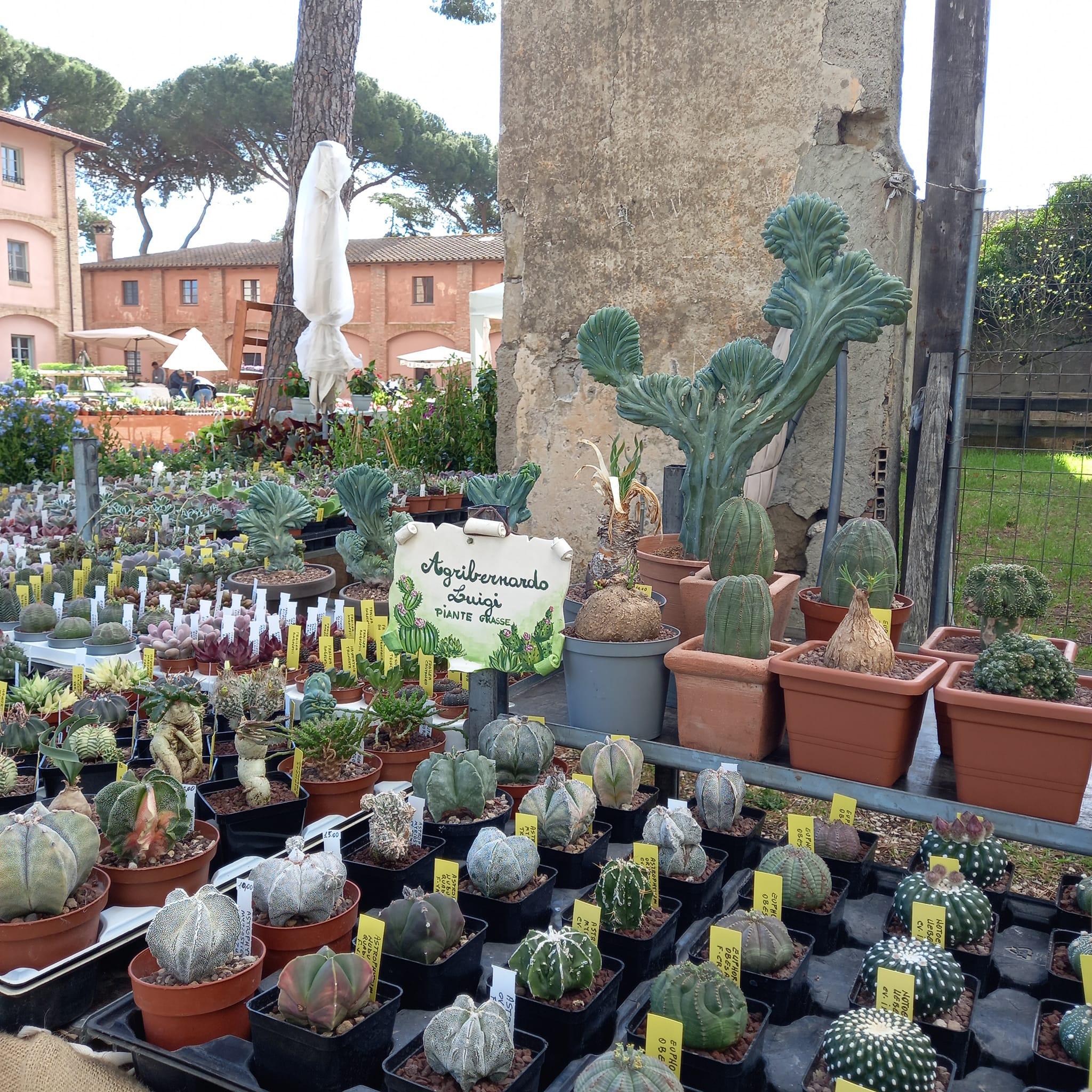 Floracult a Roma, dal 25 al 28 aprile, mostra-mercato di piante e fiori