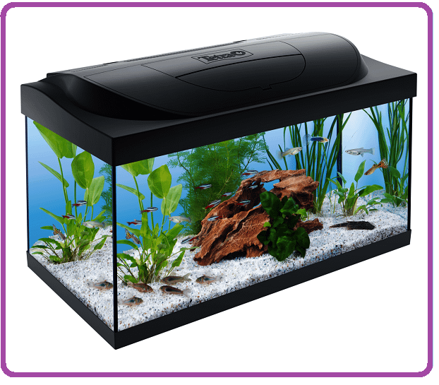 HOBBY... ACQUARIOFILIA... ACQUARIO TETRA Starter Line Led  54 Litri