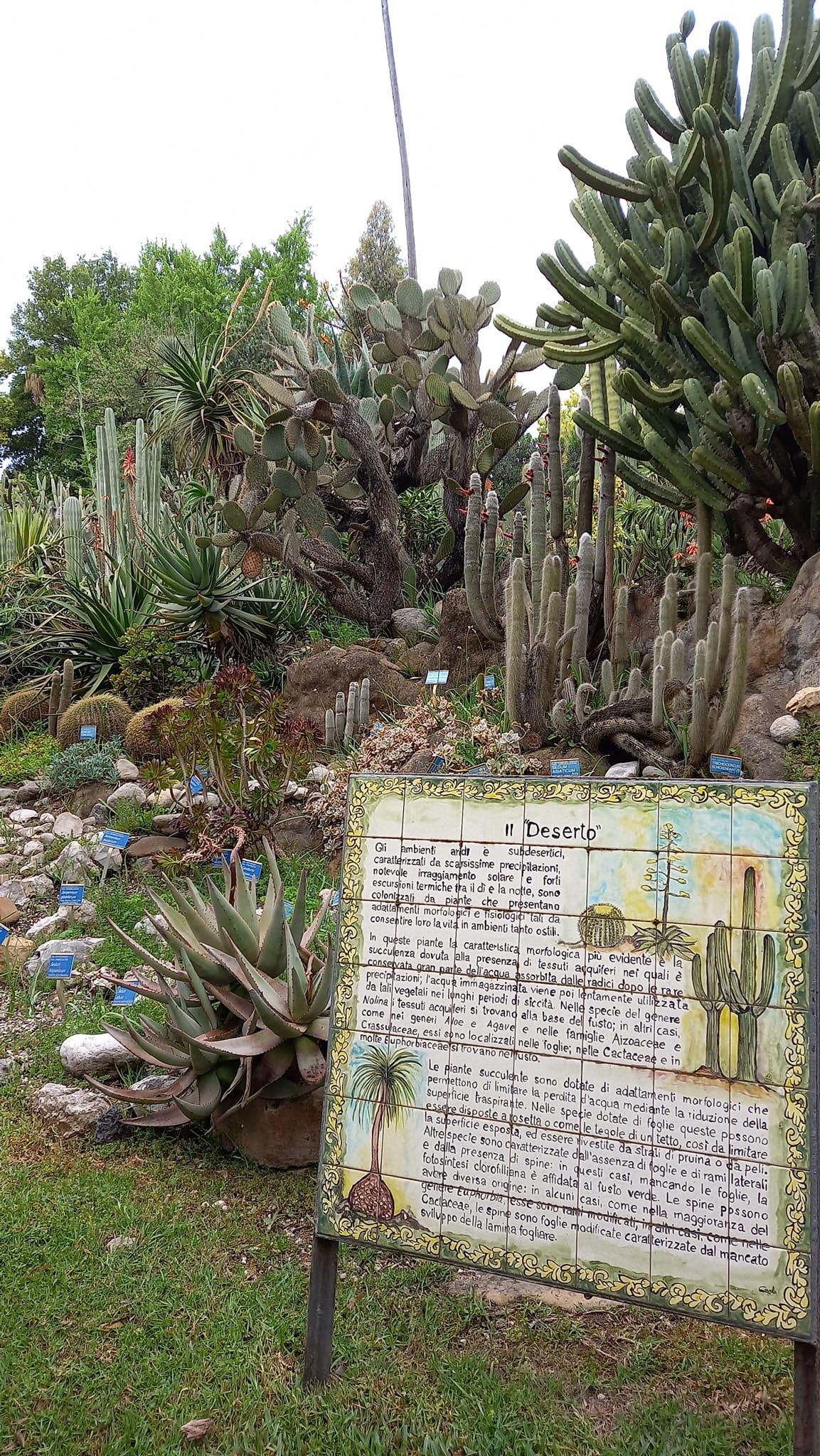 Dal 4 al 5 maggio a Napoli, nel Real Orto Botanico, per la decima edizione di "Planta, il giardino e non solo"