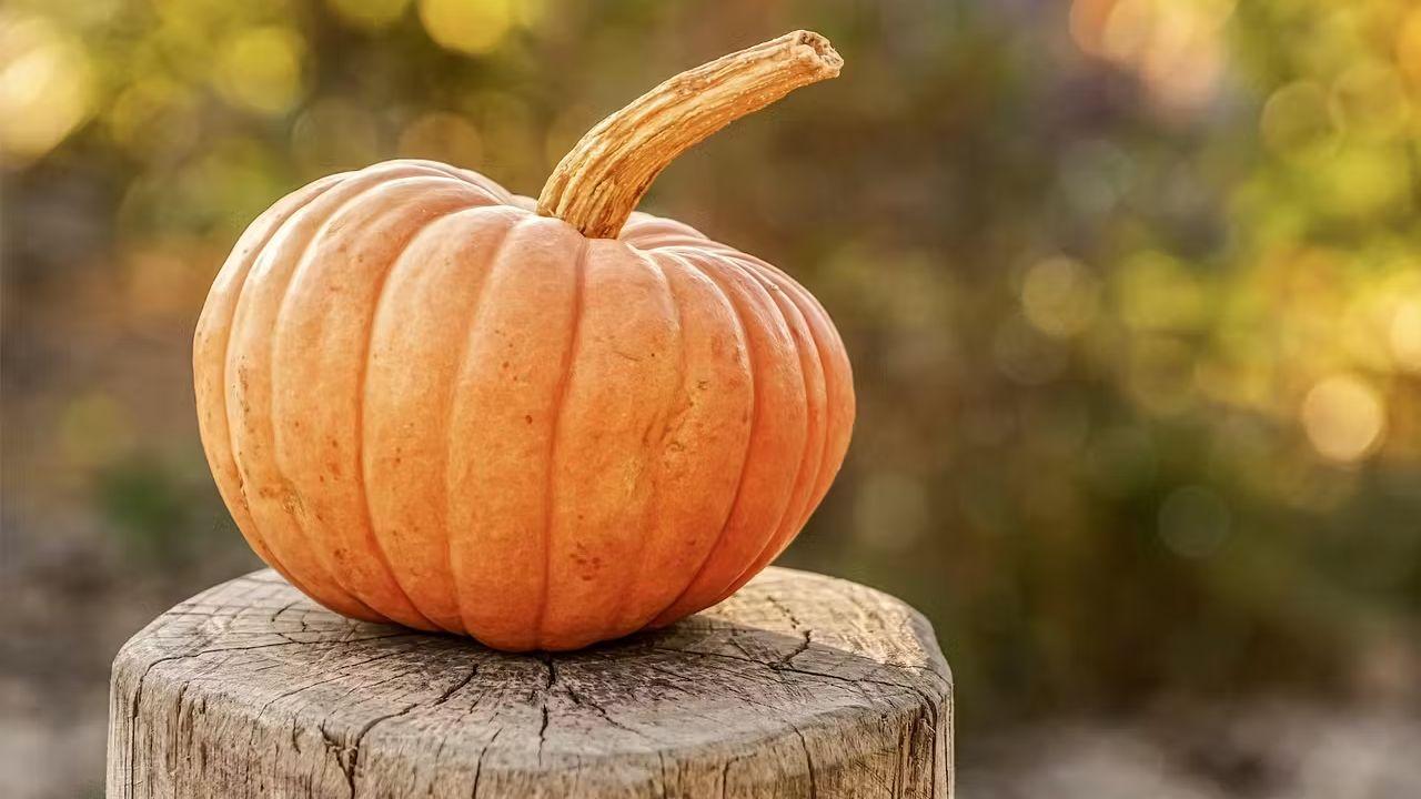 FUORI di ZUCCA a S. MARIA MAGGIORE: sagra della zucca - Domenica 20 ottobre