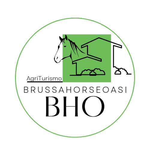 BHO - Brussa Horse Oasi