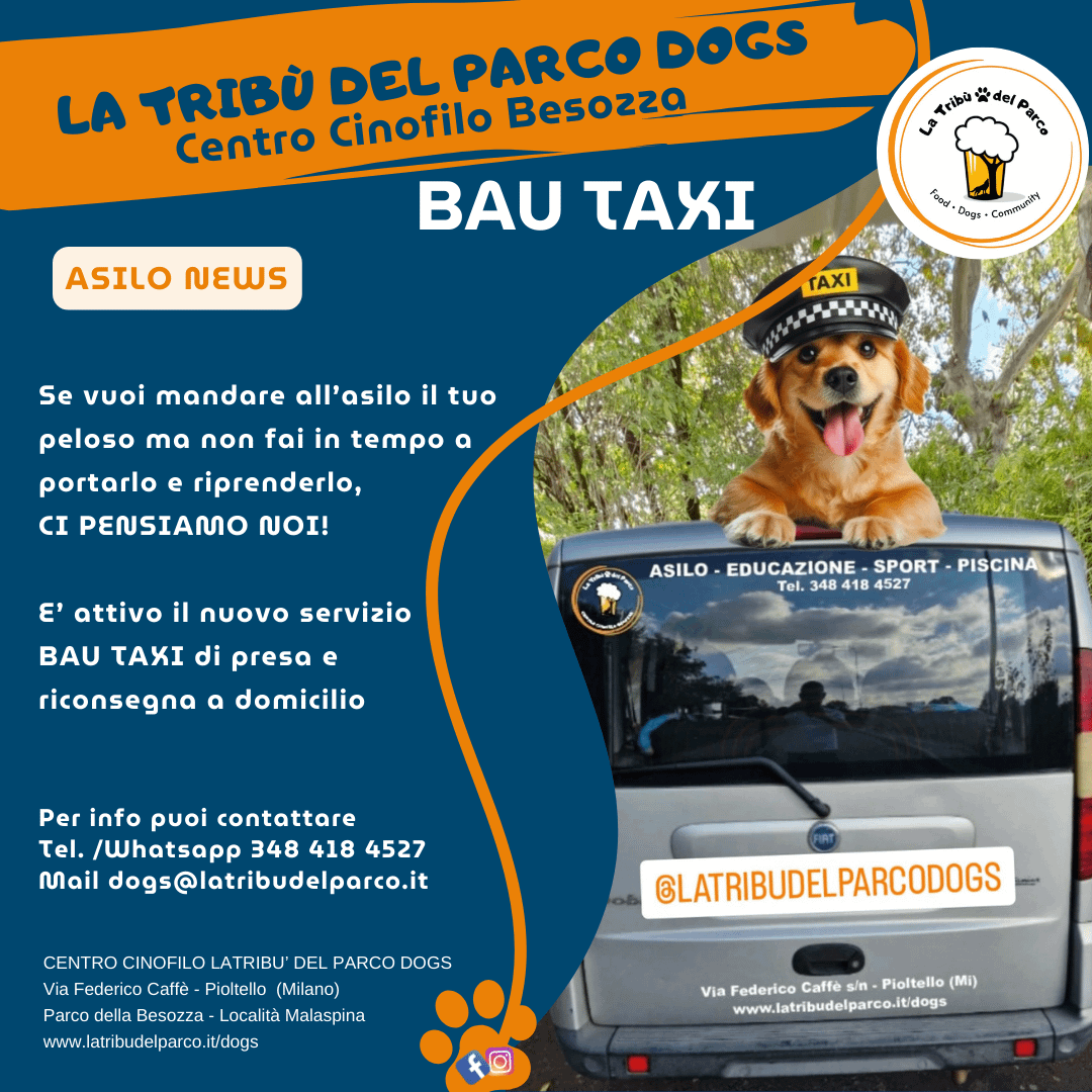 dog taxi milano, dog taxi, taxi bau, asilo per cani, asilo cani milano, asilo cani pioltello, centro cinofilo milano, centro cinofilo pioltello, sport cinofili, obedience,  disc dog, agility dog, eventi cinofili milano, dog sitter milano, asilo per cani, piscina per cani, milano, pioltello, segrate