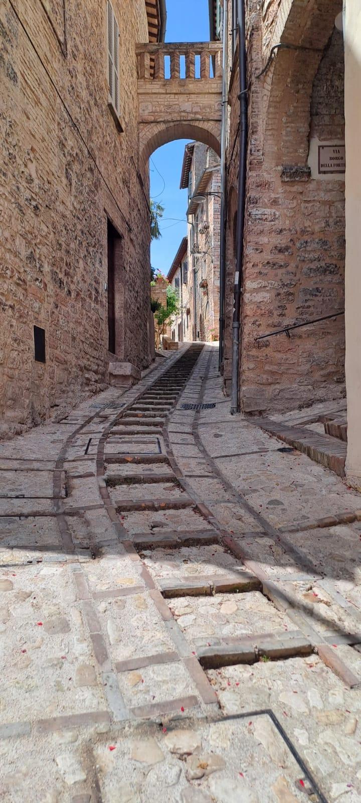 spello3jpg