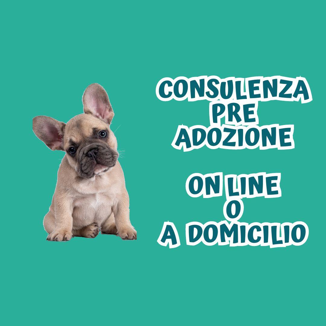 CONSULENZA PRE ADOZIONE ON LINE O A DOMICILIO