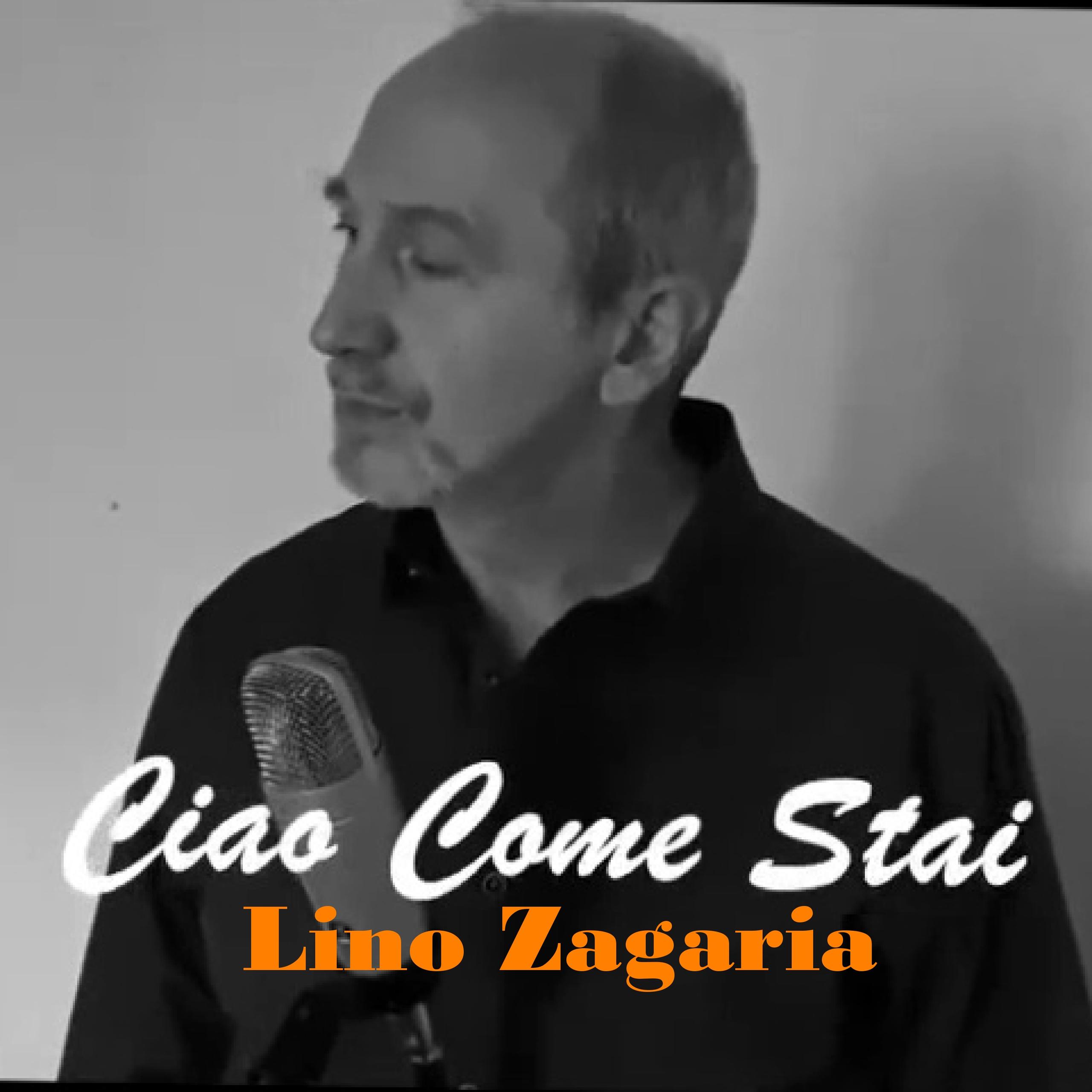 Ciao come stai - Lino Zagaria