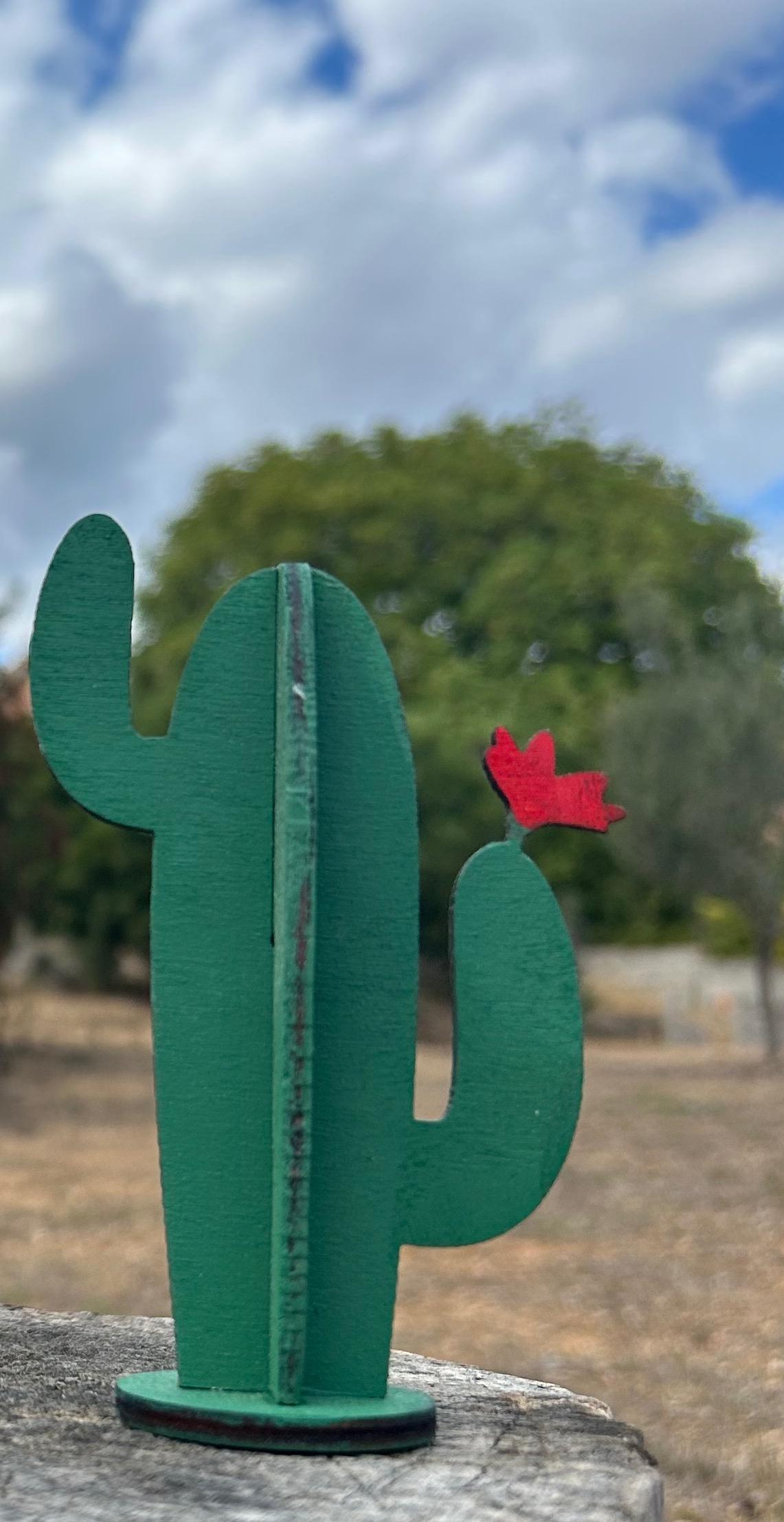 Cactus Fico D’india ornamentale