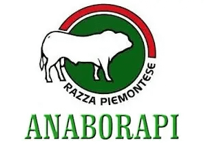 "NEW" Razza Piemontese - Categoria PIEMONTESE