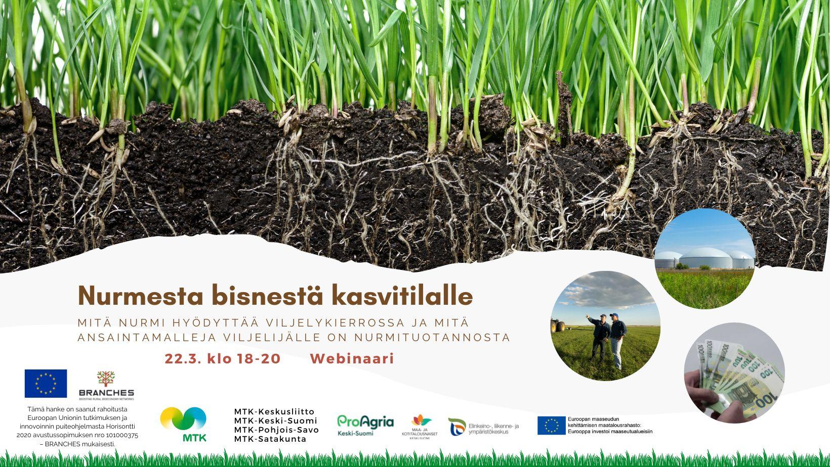 Turning grass into business -webinar in Finland on 22nd of March