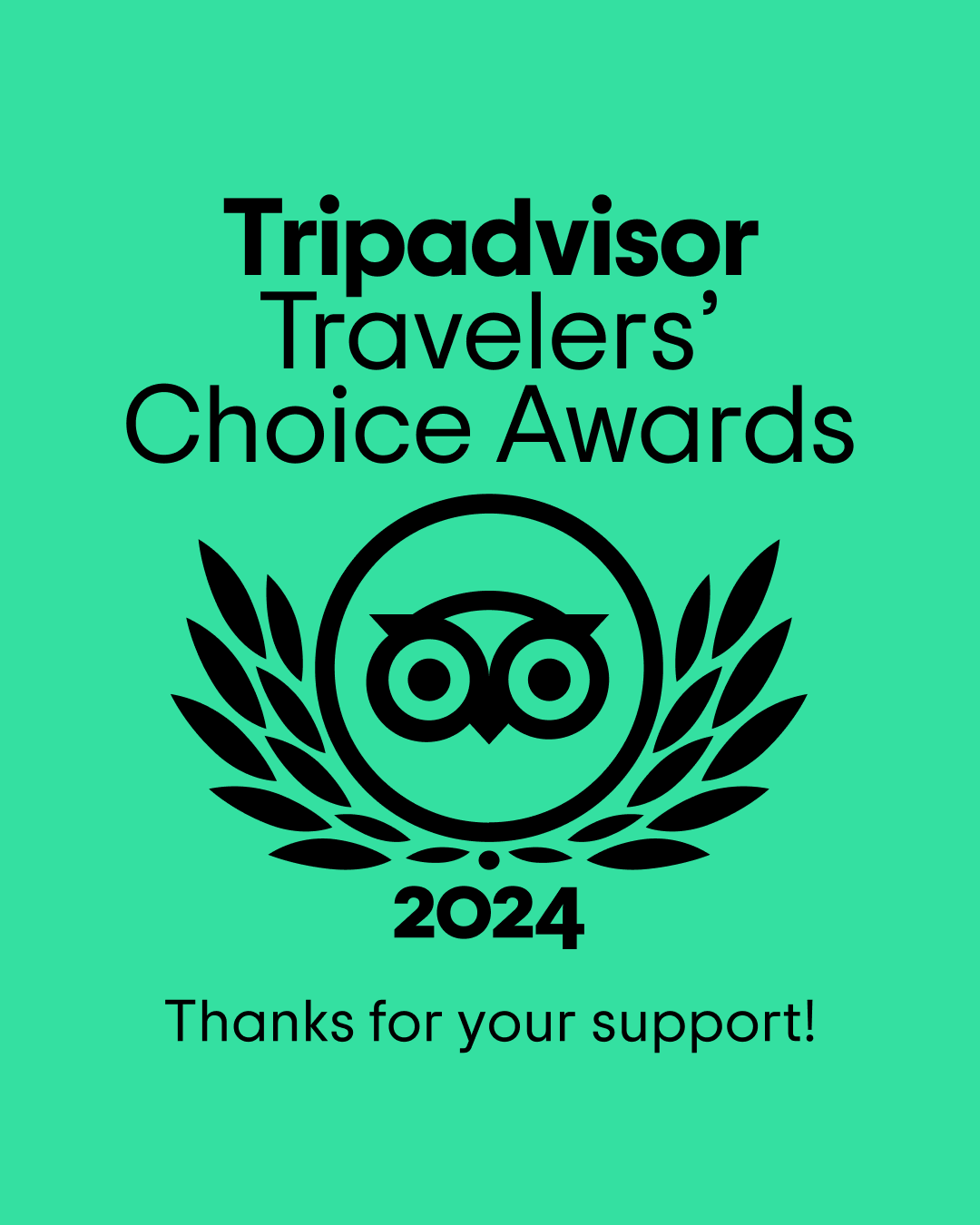 Vincitori del premio Travellers' Choice 2024