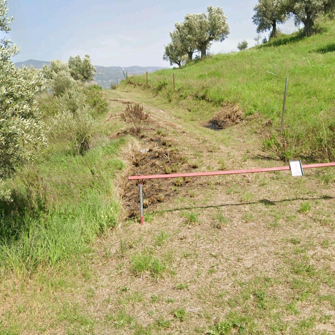 Terreno Agricolo (Rende - CS)